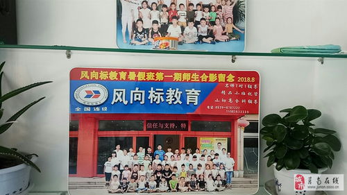 小橙子教育咨詢服務中心 點亮學業與職業之路的專業向導