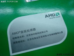 入門就選他！AMD新款閃龍僅260元，廣告設計新選擇