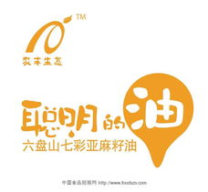 理解代理信息 定義、類型與應用場景