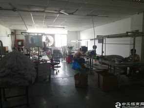 寶安區(qū)福永白石廈新塘工業(yè)區(qū)精品廠房及教育場(chǎng)地出租